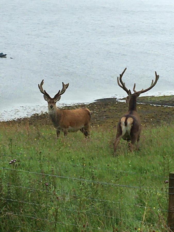 The Lambing Shed Villa Dunvegan  Luaran gambar